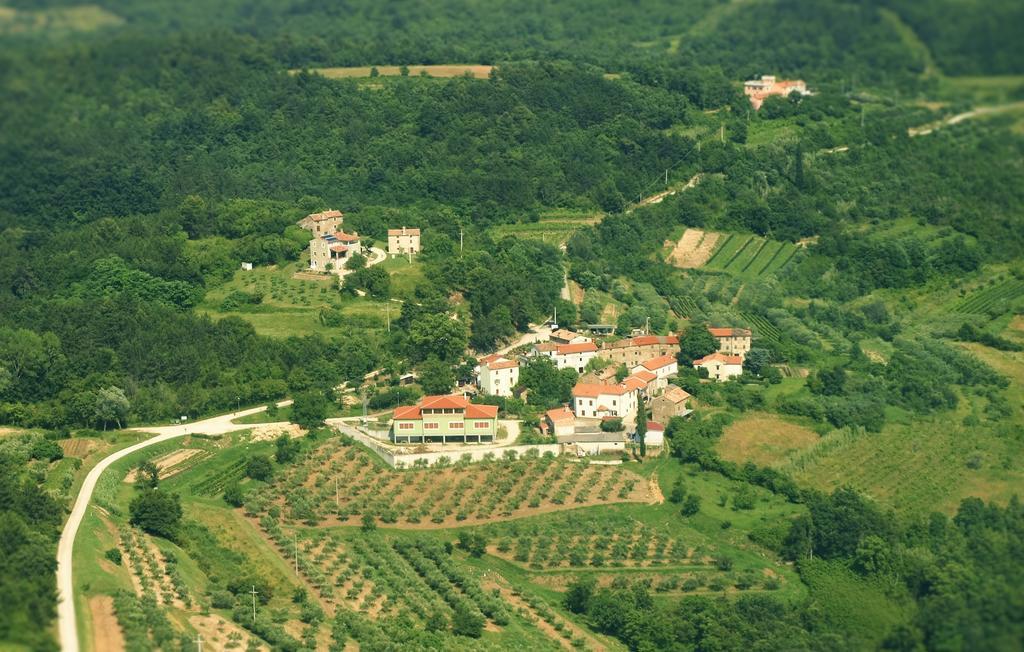 Al Merlo Olivo, Rural Istrian House Buje Exterior photo