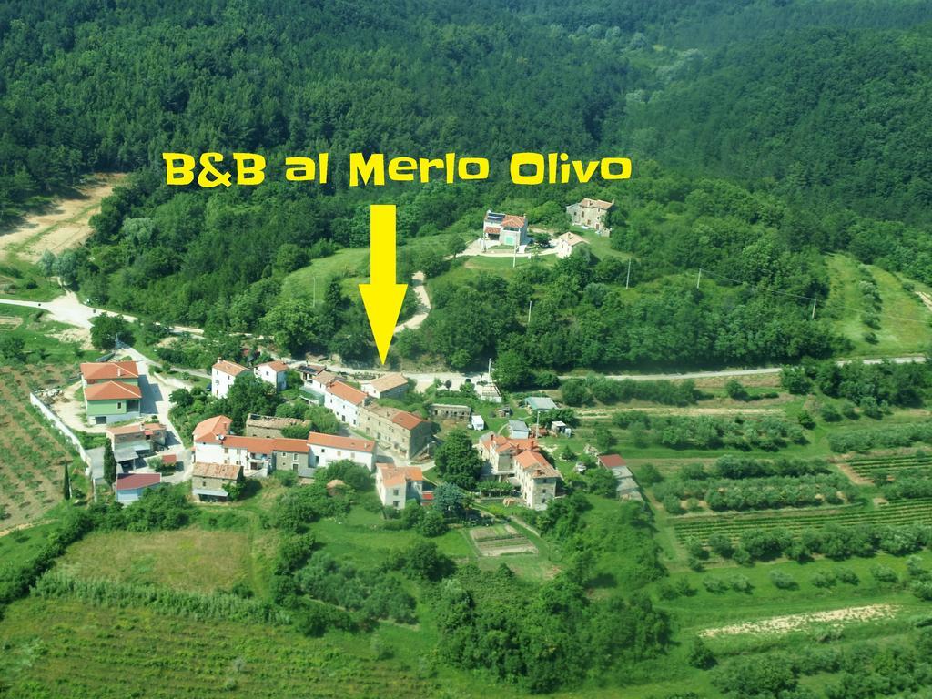 Al Merlo Olivo, Rural Istrian House Buje Exterior photo