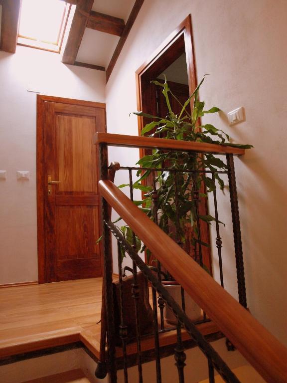 Al Merlo Olivo, Rural Istrian House Buje Exterior photo