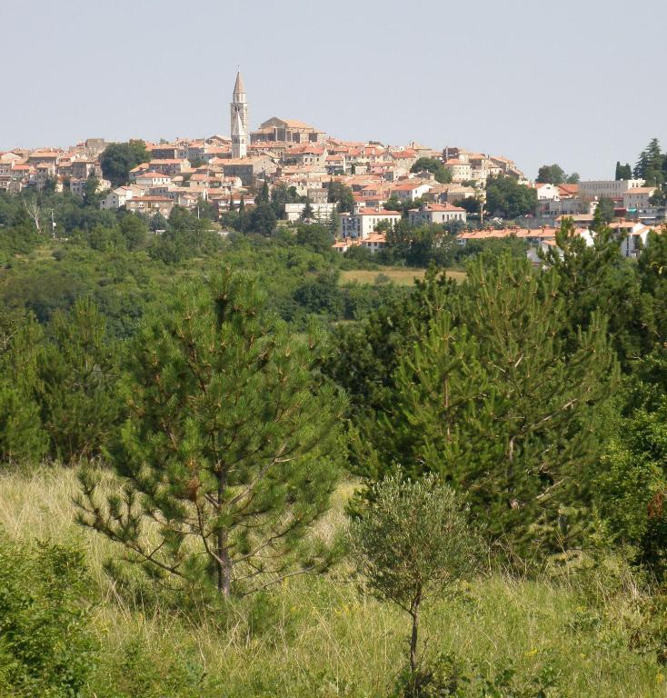 Al Merlo Olivo, Rural Istrian House Buje Exterior photo
