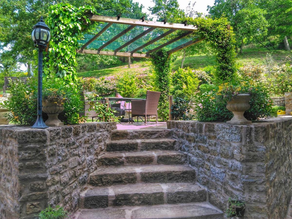 Al Merlo Olivo, Rural Istrian House Buje Exterior photo